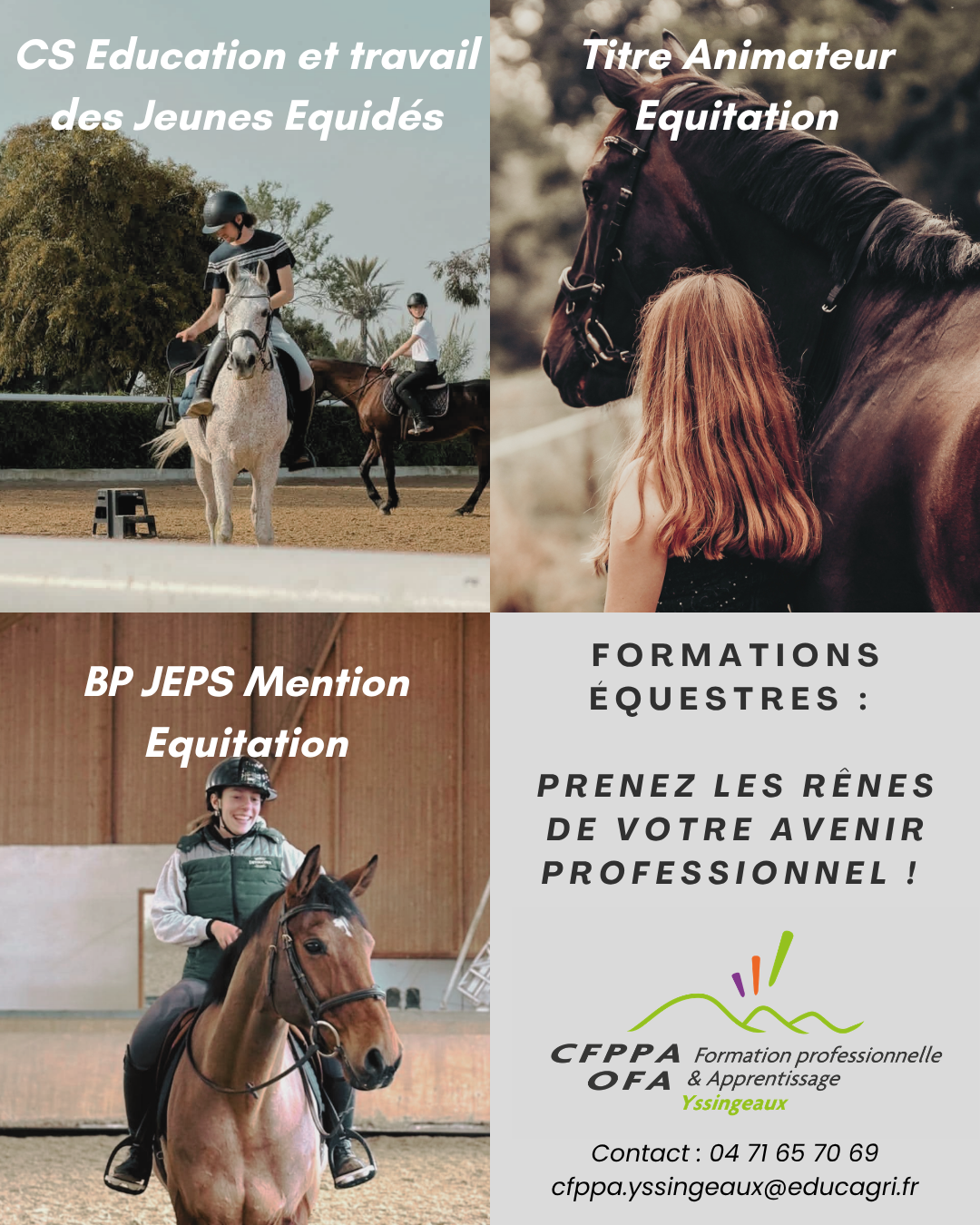 Filière équine CFPPA